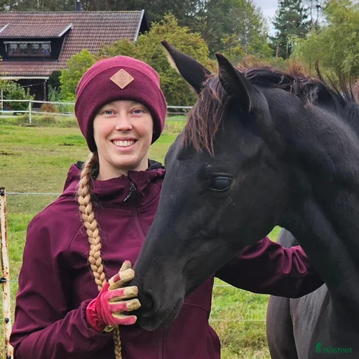 Galleribild {{count}}