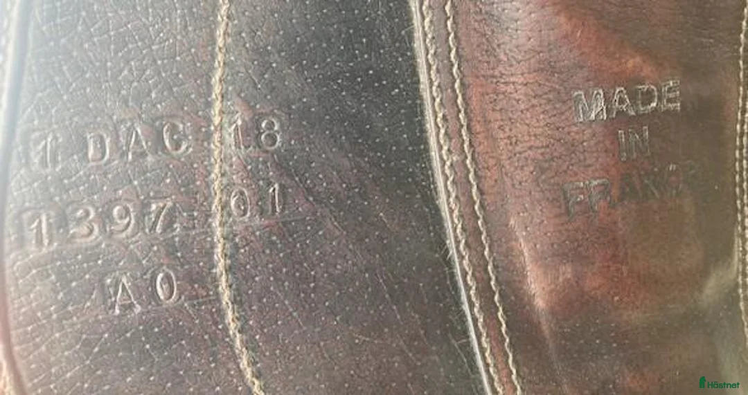 Sadlar hästutrustning till salu: Childeric DAC - Annons 4