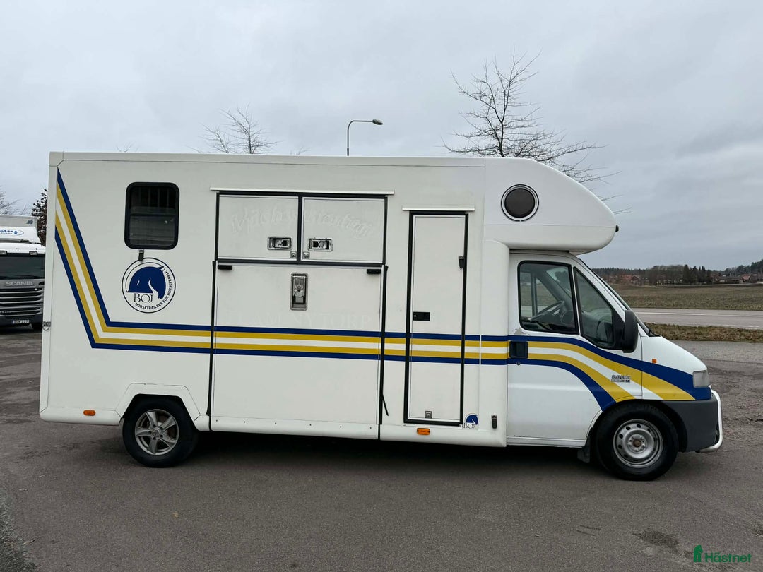 Hästlastbilar  fordon & transport till salu: Välvårdad hästlastbil från Boj *LASTVIKT 1140KG* i Köping - Annons 2