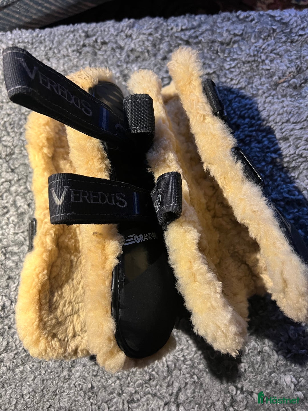 Benskydd hästutrustning till salu: Veredus Grand Prix i Västerås - Annons 2