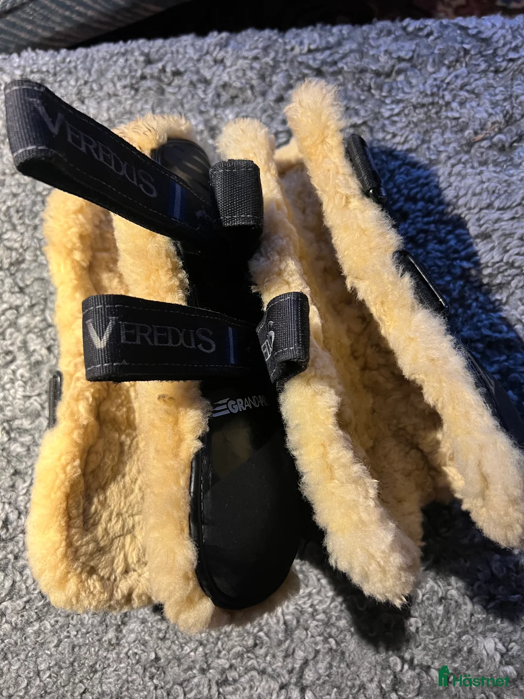 Benskydd hästutrustning till salu: Veredus Grand Prix i Västerås - Annons 2