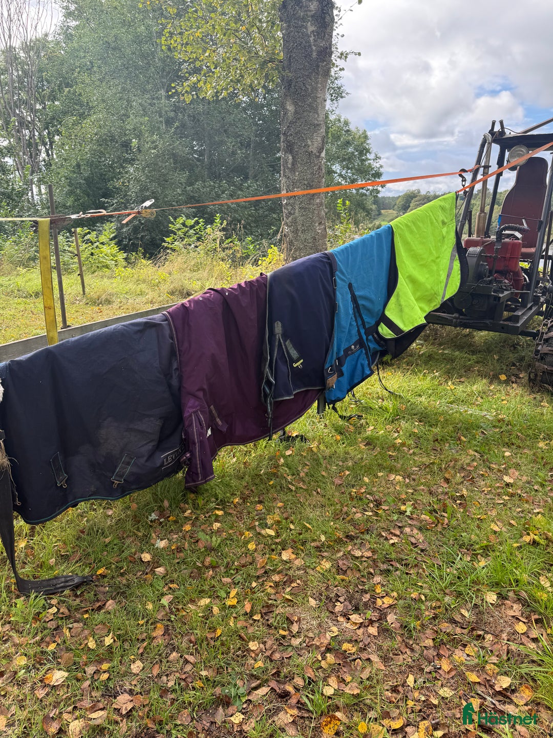  stallplats finnes: Shettis sadel i Skutskär - Annons 10