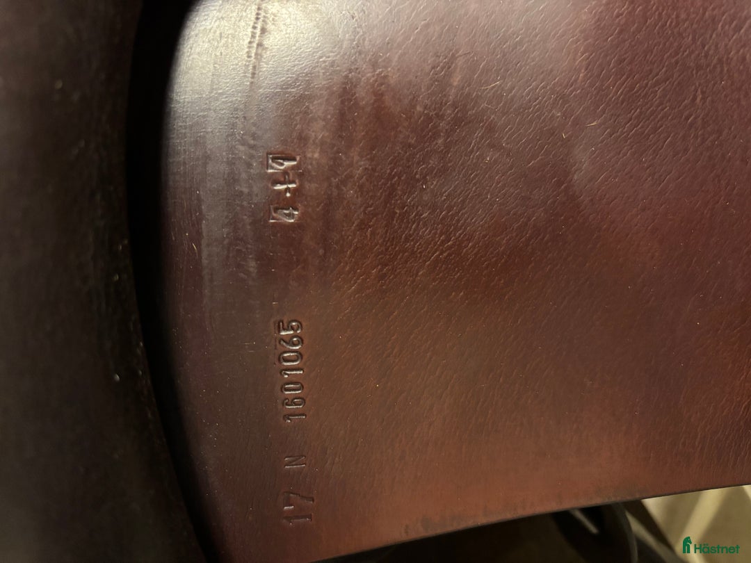 Sadlar hästutrustning till salu: Amerigo classic i Jät - Annons 4