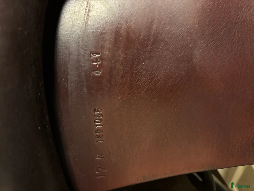 Sadlar hästutrustning till salu: Amerigo classic i Jät - Annons 4