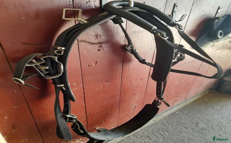 Travselar trav till salu i Kalmar - Annons 13