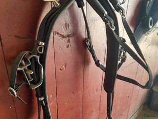 Travselar trav till salu: Ny Racing Tack i Kalmar - Annons 12