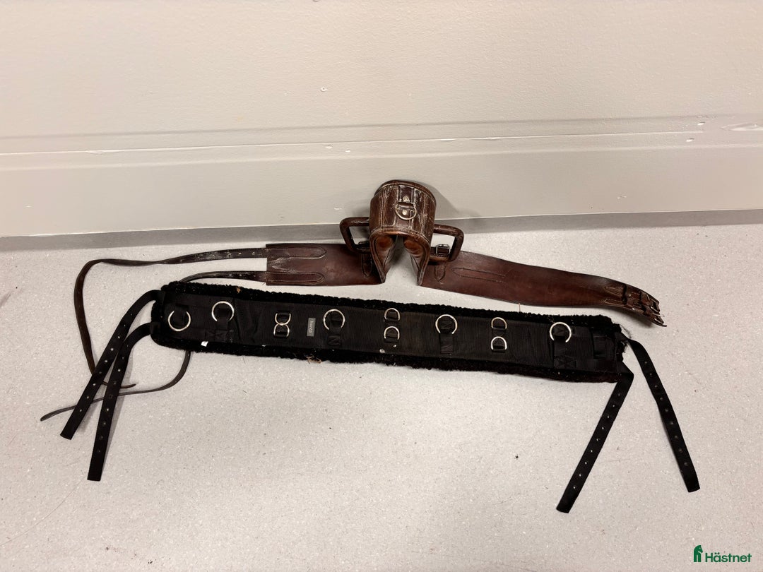 Övrig Hästutrustning hästutrustning till salu: Longeringshjälp  i Växjö - Annons 1