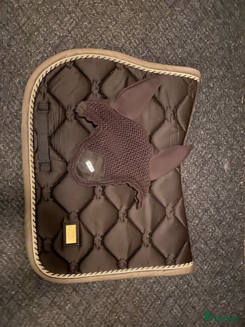 Schabrak & Vojlockar hästutrustning Equestrian schabrak + huva i Mölndal - Annons 22