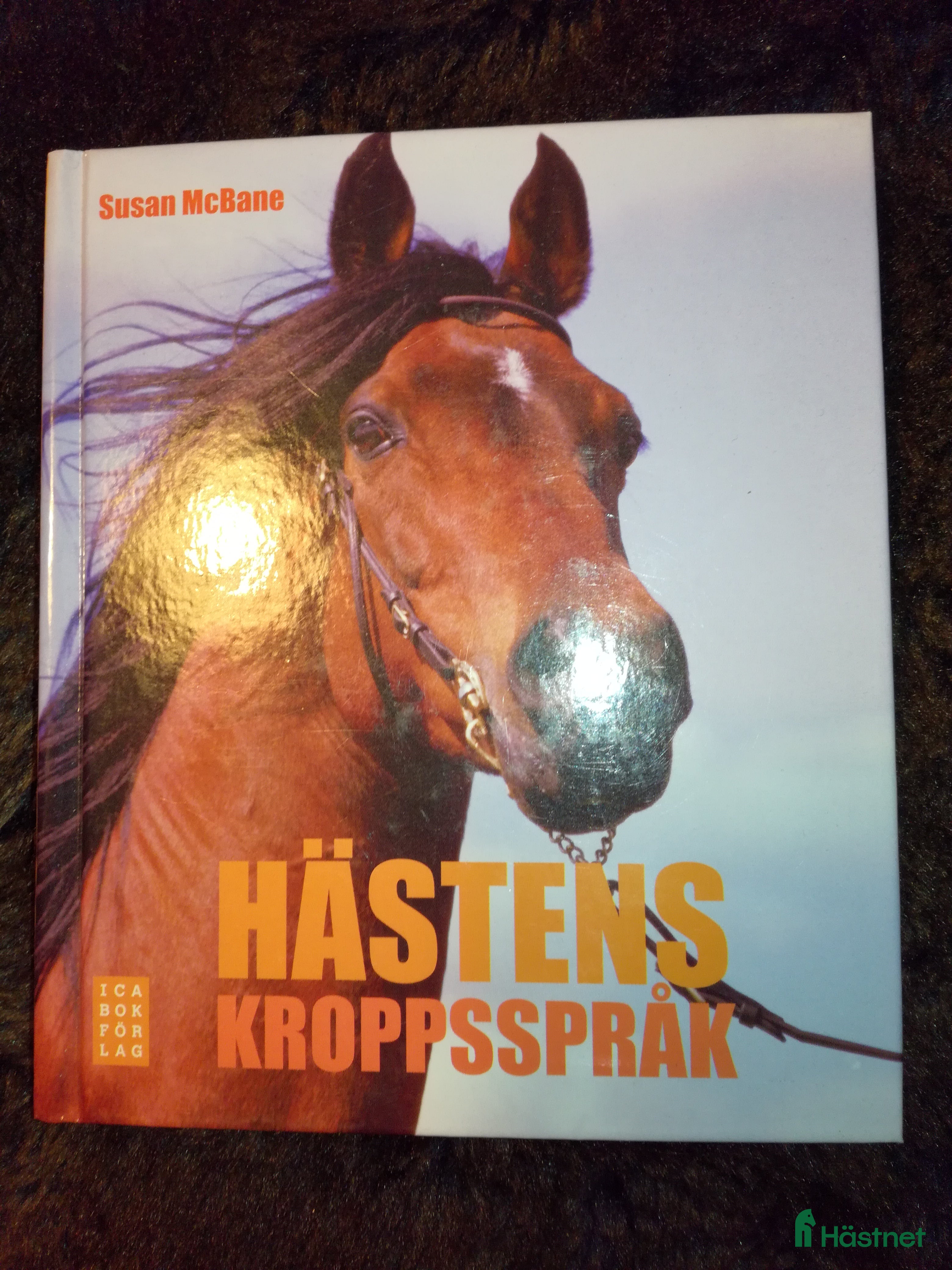Övrig Ryttarutrustning ryttarutrustning till salu: Hästens kroppspråk i Västra Frölunda - Annons 12
