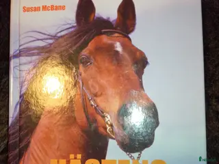 Övrig Ryttarutrustning ryttarutrustning till salu: Hästens kroppspråk i Västra Frölunda - Annons 4