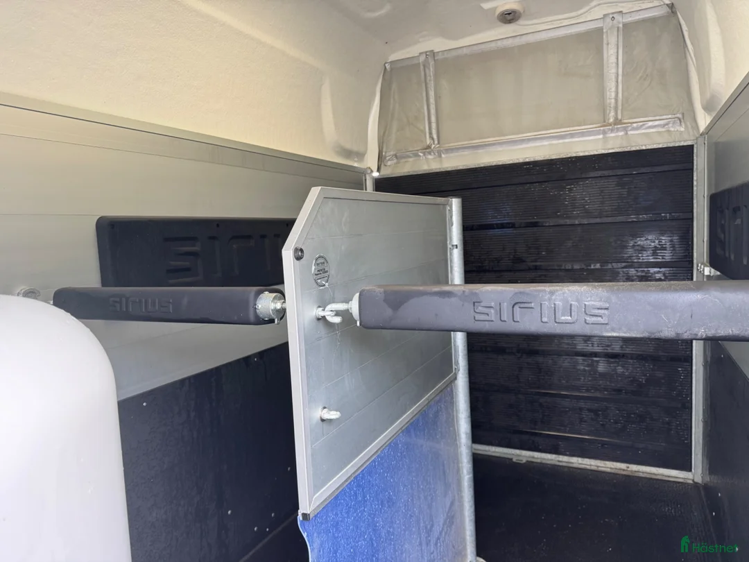 Hästtransporter  fordon & transport till salu: Sirius S77 - Annons 6