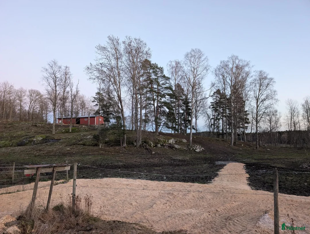  stallplats finnes: Lösdrift med fullservice - Annons 5