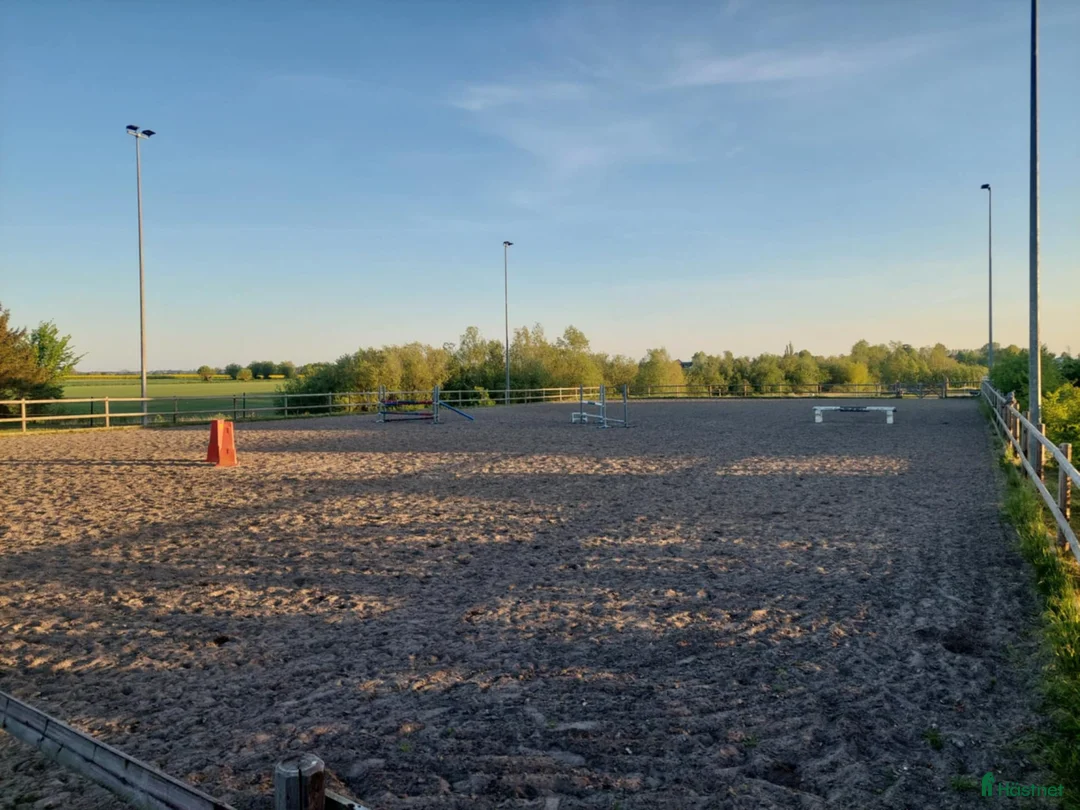  stallplats finnes: Boxplatser uthyres i Staffanstorp - Annons 2