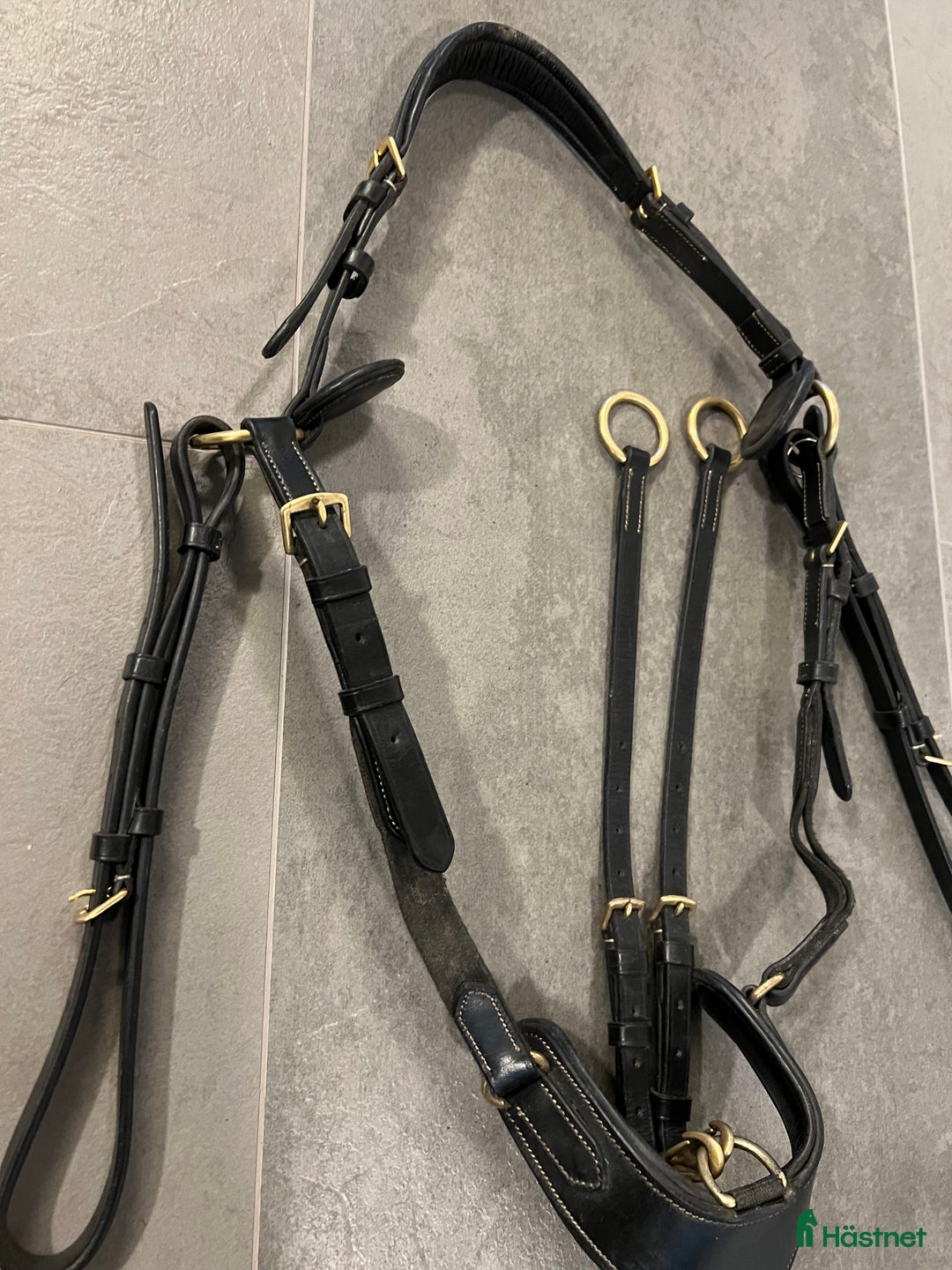Övrig Hästutrustning hästutrustning till salu: Jh Collection Martingal i Kattarp - Annons 1