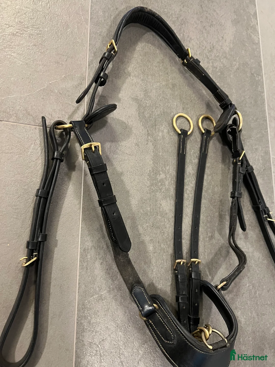 Övrig Hästutrustning hästutrustning till salu: Jh Collection Martingal i Kattarp - Annons 1