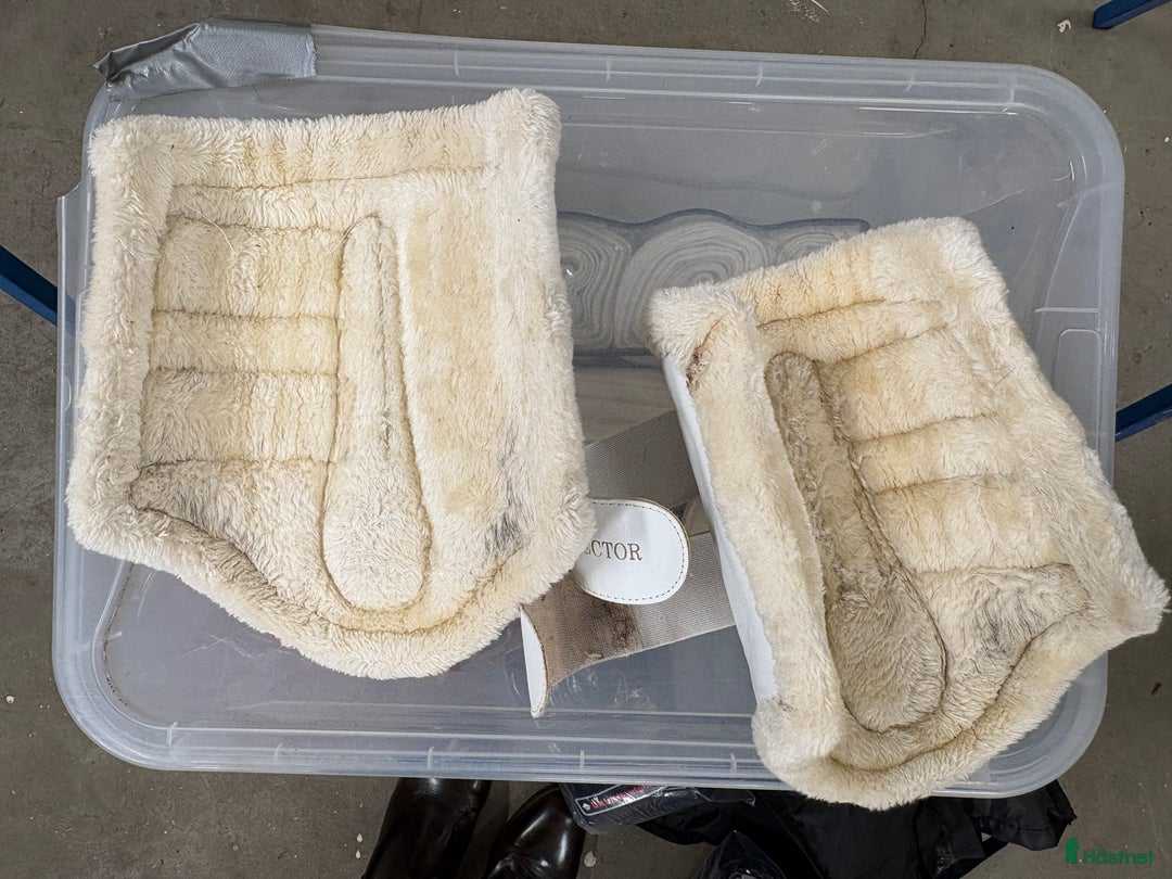 Benskydd hästutrustning till salu: Vita benskydd med ludd, M och L i Täby - Annons 3