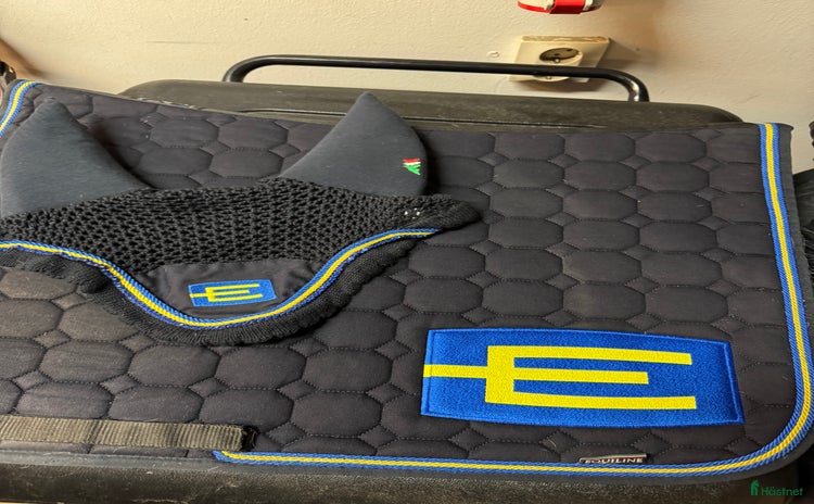 Schabrak & Vojlockar hästutrustning till salu i Björklinge - Annons 10