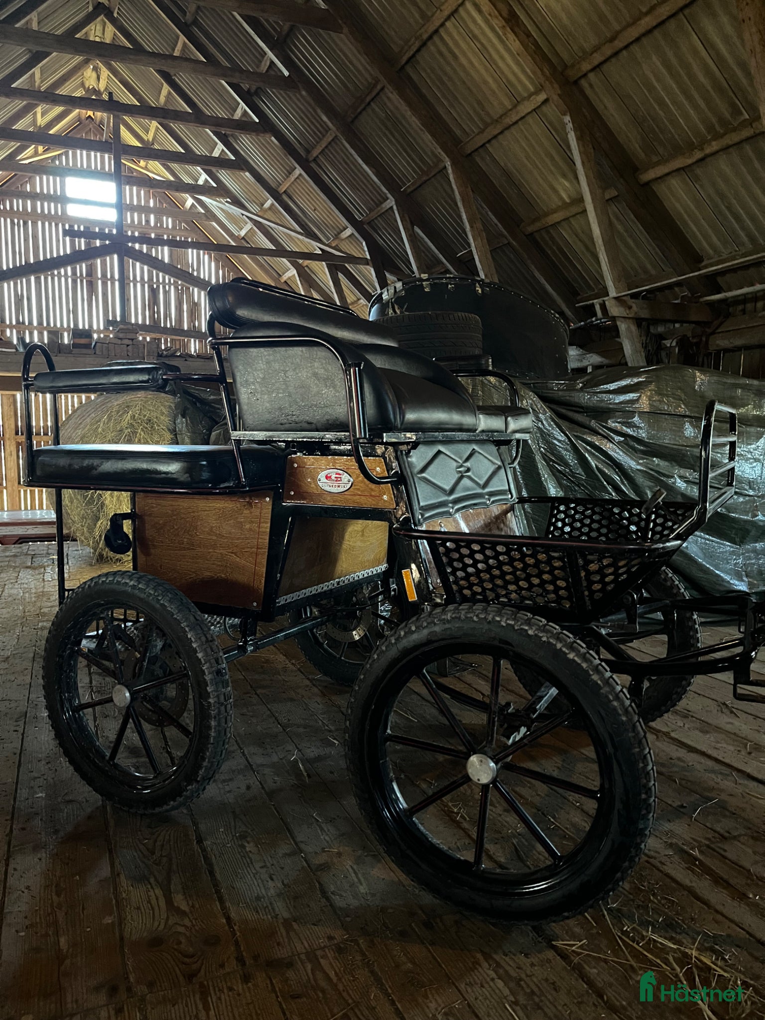 Körvagnar körning till salu: Ponnyvagn Glinkowski maratonvagn wagonette mix - Annons 5