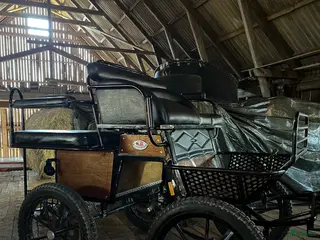 Körvagnar körning till salu: Ponnyvagn Glinkowski maratonvagn wagonette mix - Annons 5