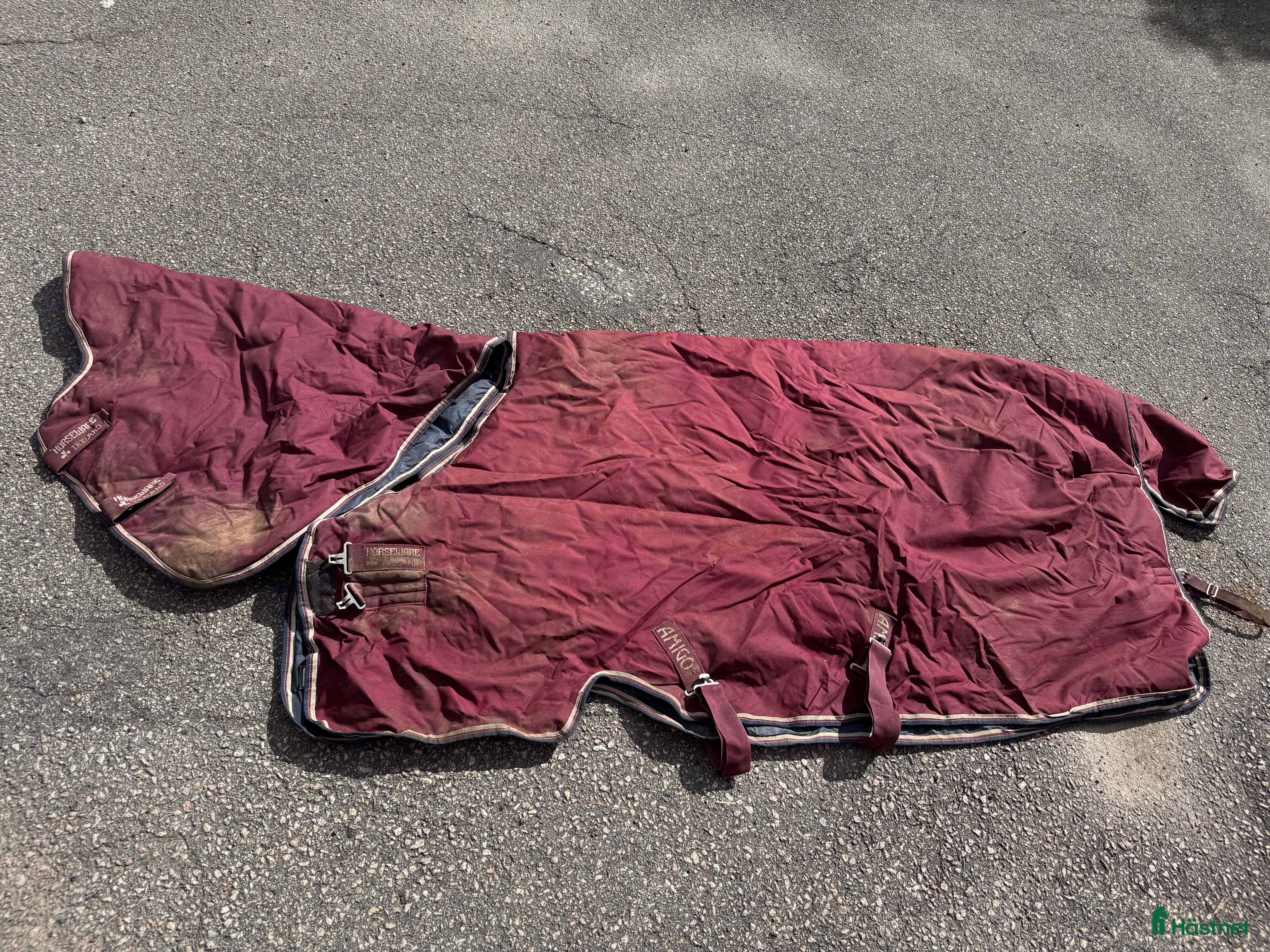 Täcken hästutrustning till salu: Amigo Hero 6 Plus 350g täcke  i Tolg - Annons 5