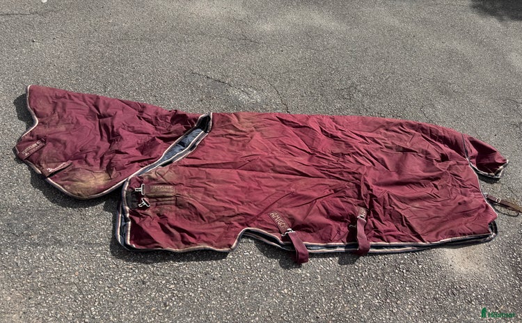 Täcken hästutrustning till salu: Amigo Hero 6 Plus 350g täcke  i Tolg - Annons 4