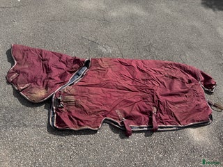 Täcken hästutrustning till salu: Amigo Hero 6 Plus 350g täcke i Tolg - Annons 3