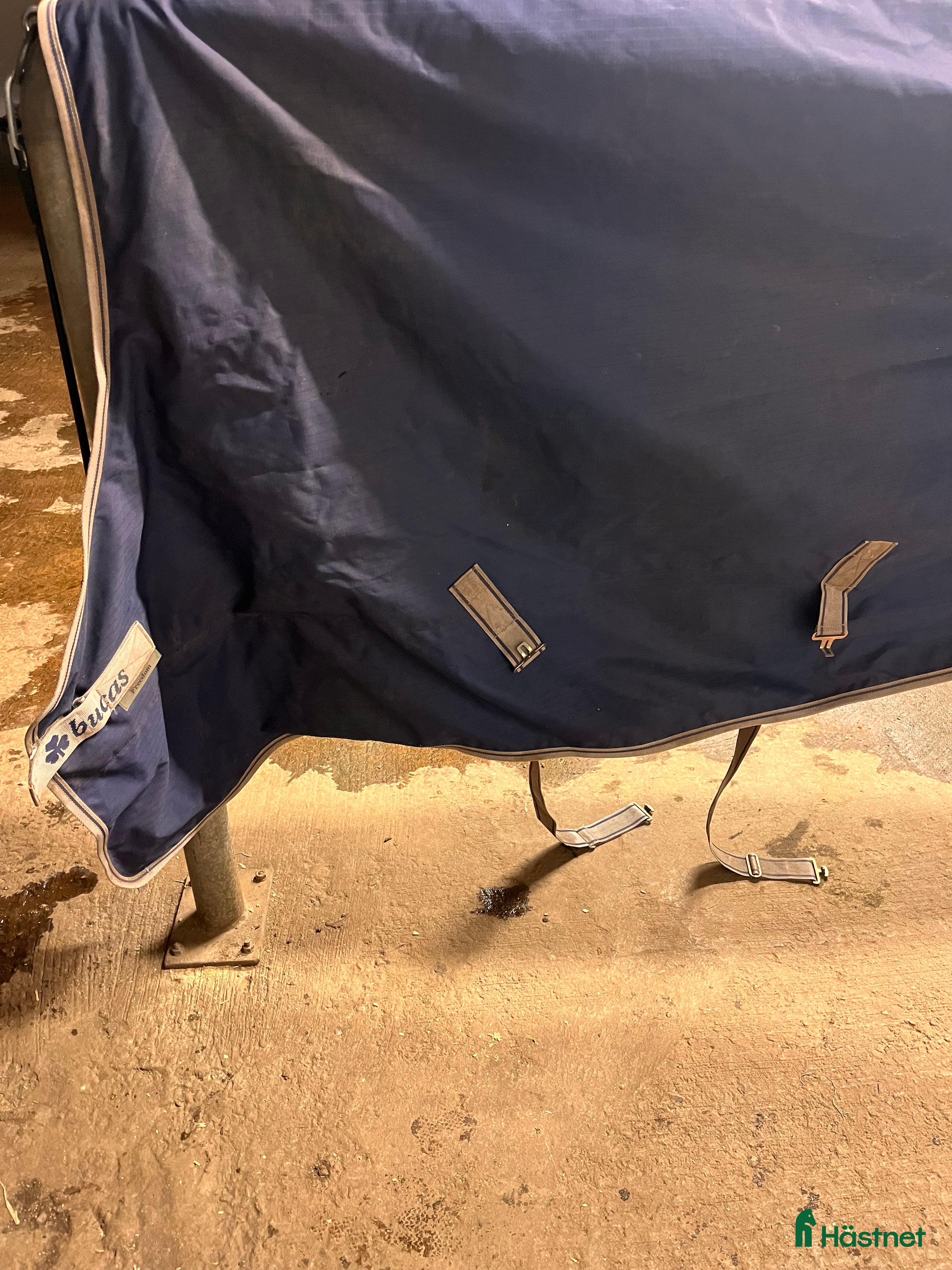 Täcken hästutrustning till salu: Vintertäcke från Bucas, strl 155 i Borås - Annons 21