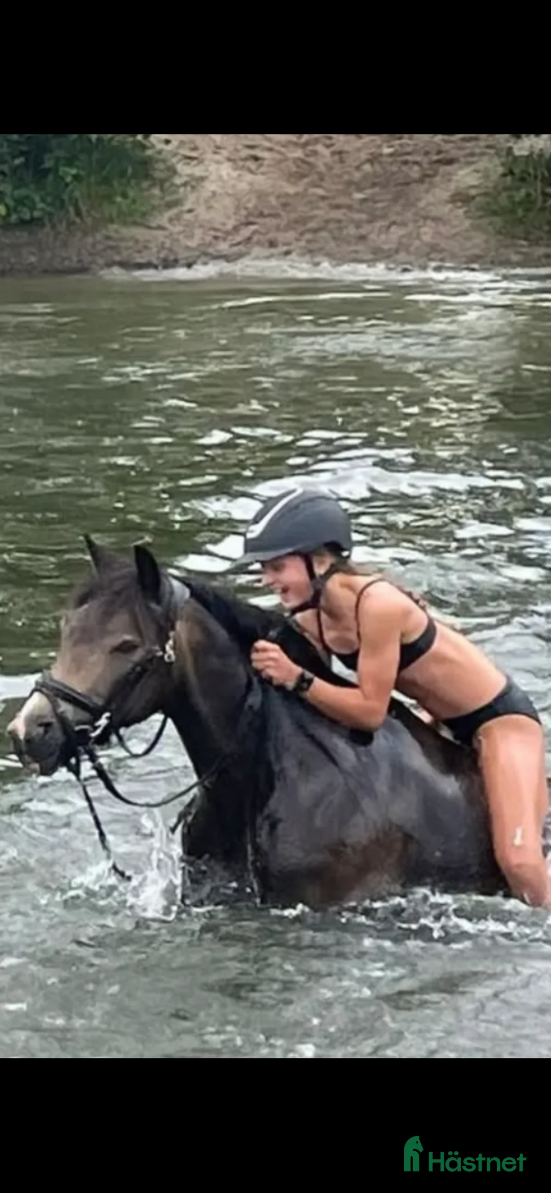 Allround hästar till salu: SM B-ponny  i Kävlinge - Annons 2