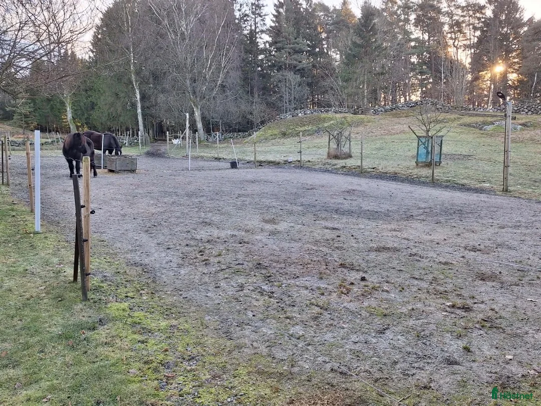  stallplats finnes: Stallplats uthyres - Annons 9
