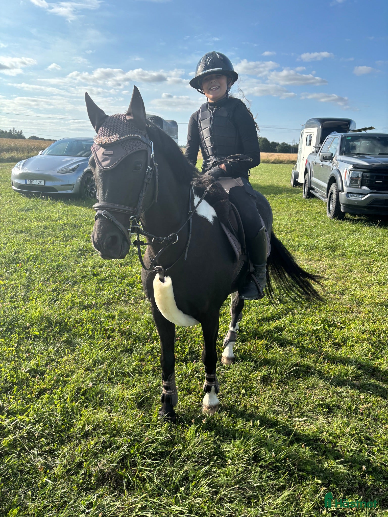  hästar Erfaren tävlingsponny – Welsh 129 cm, tävlad LA  - Annons 1