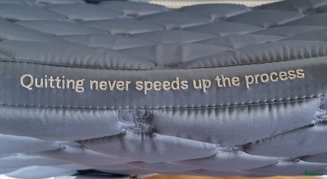 Schabrak & Vojlockar hästutrustning till salu: Ps of Sweden Xmas Clear Blue Pearl i Färentuna - Annons 3