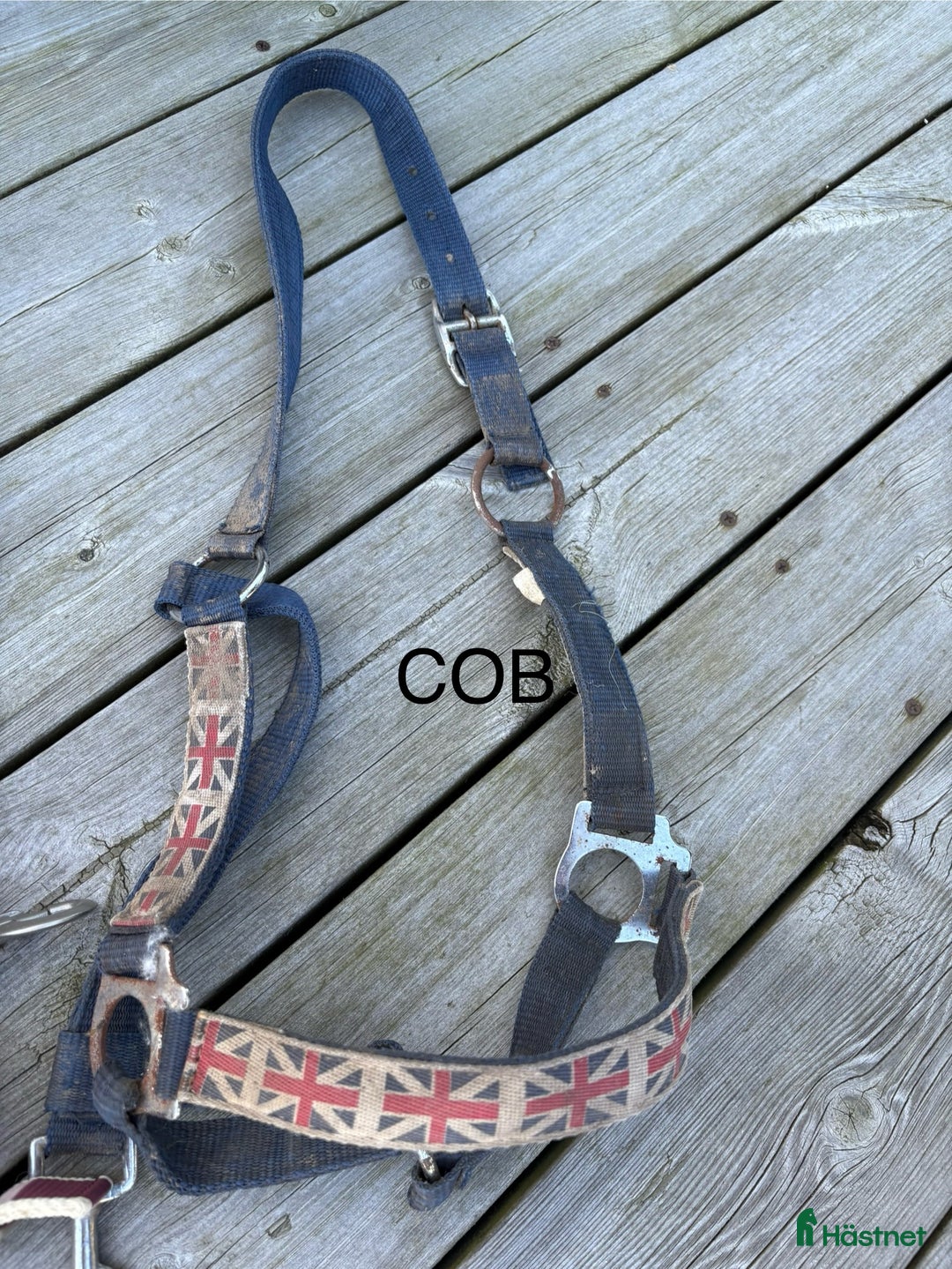 Övrig Hästutrustning hästutrustning till salu: Häst och ponny saker - Annons 7