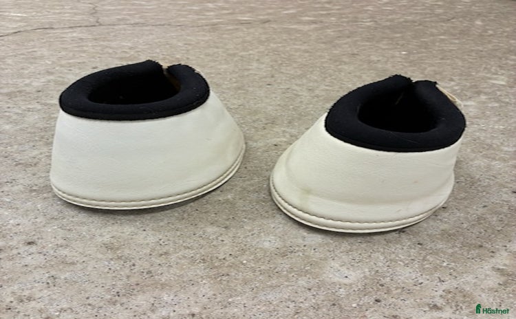 Benskydd hästutrustning till salu i Munsö - Annons 3