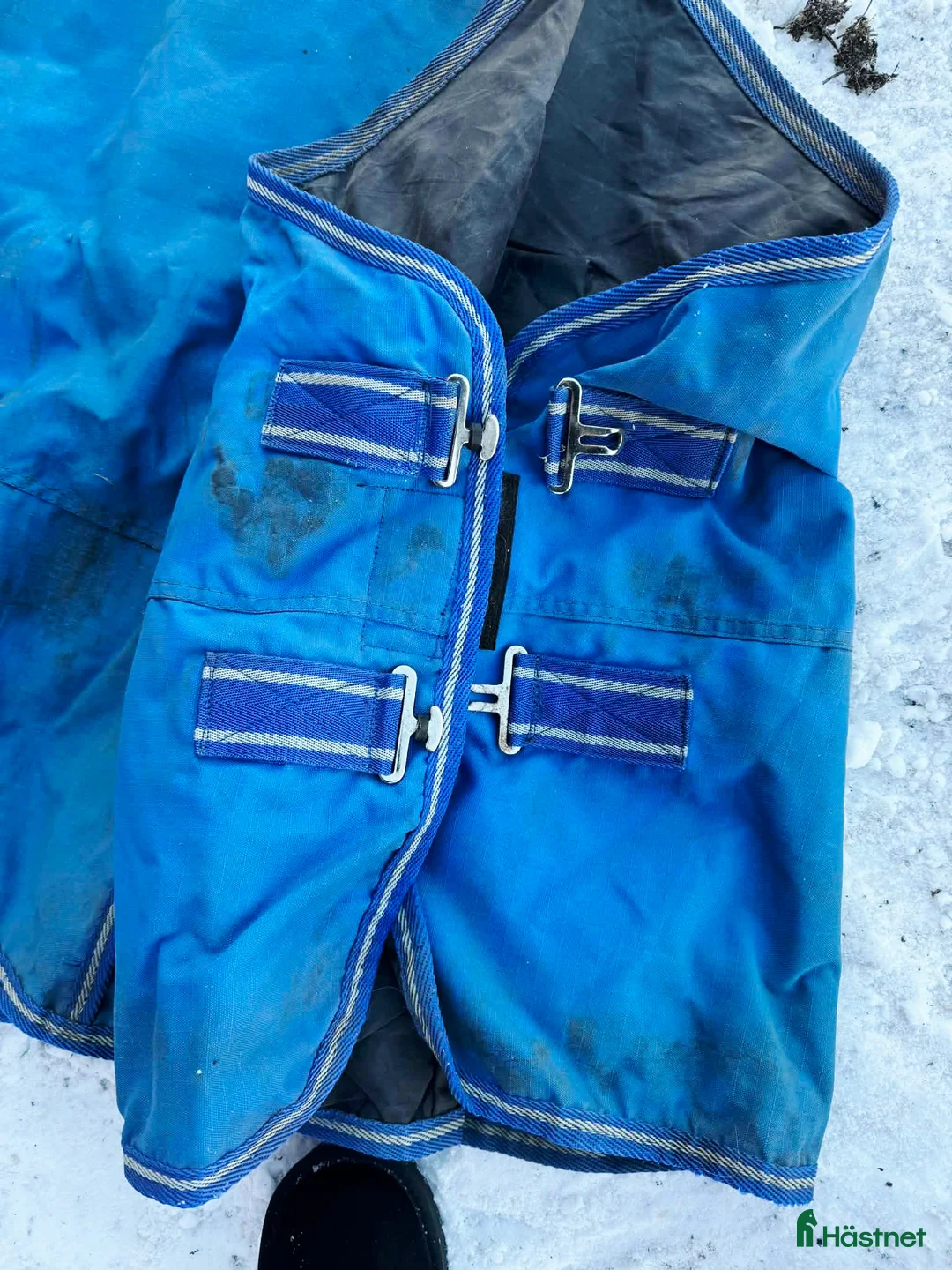 Täcken hästutrustning till salu: 50 grams regntäcke strl 155 - Annons 2