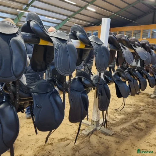 Galleribild {{count}}