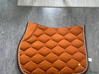 Schabrak & Vojlockar hästutrustning till salu: Ps of Sweden schabrak i Nora - Annons 1