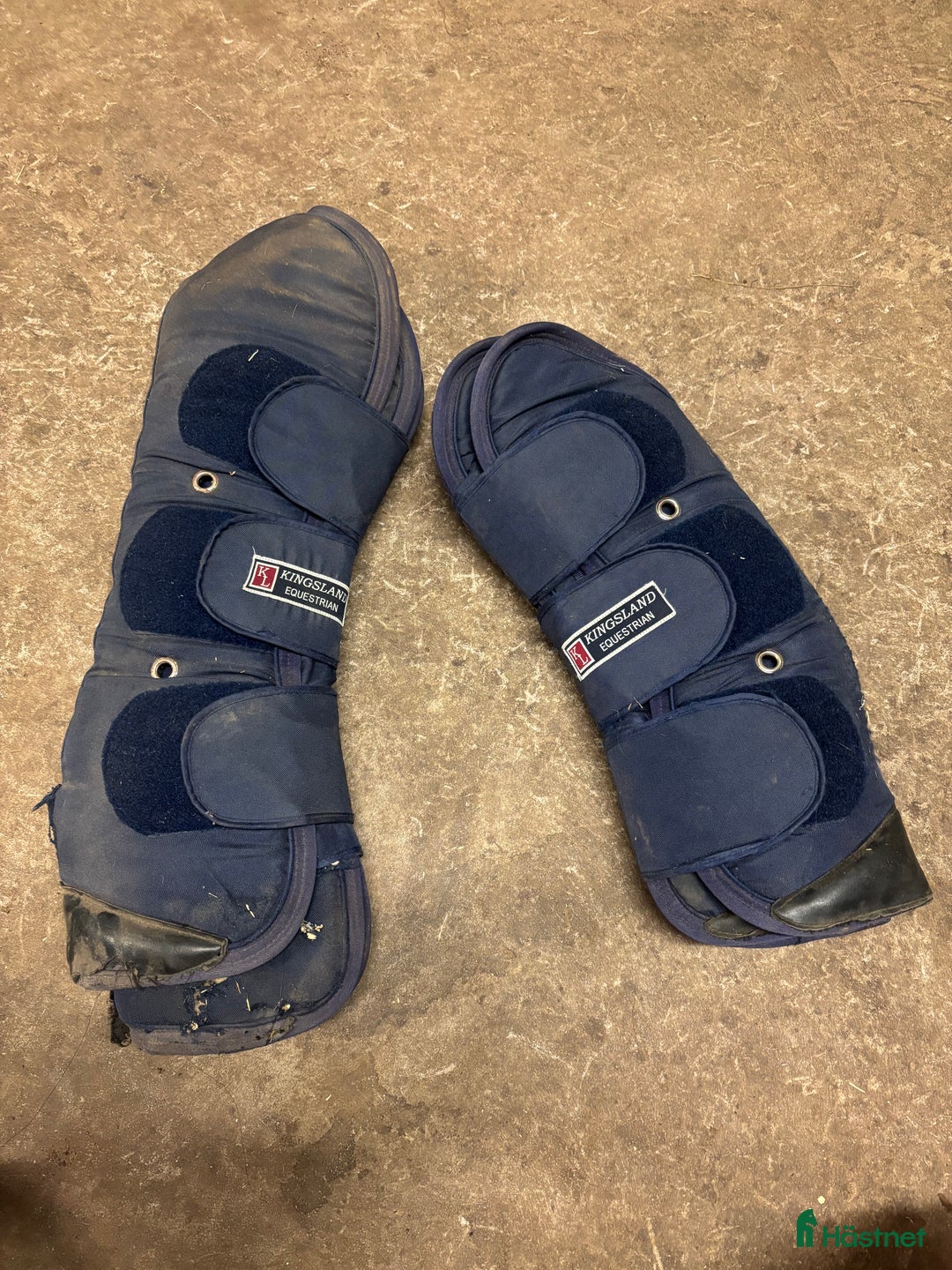 Benskydd hästutrustning till salu: Kingsland transportskydd  i Vinninga - Annons 26