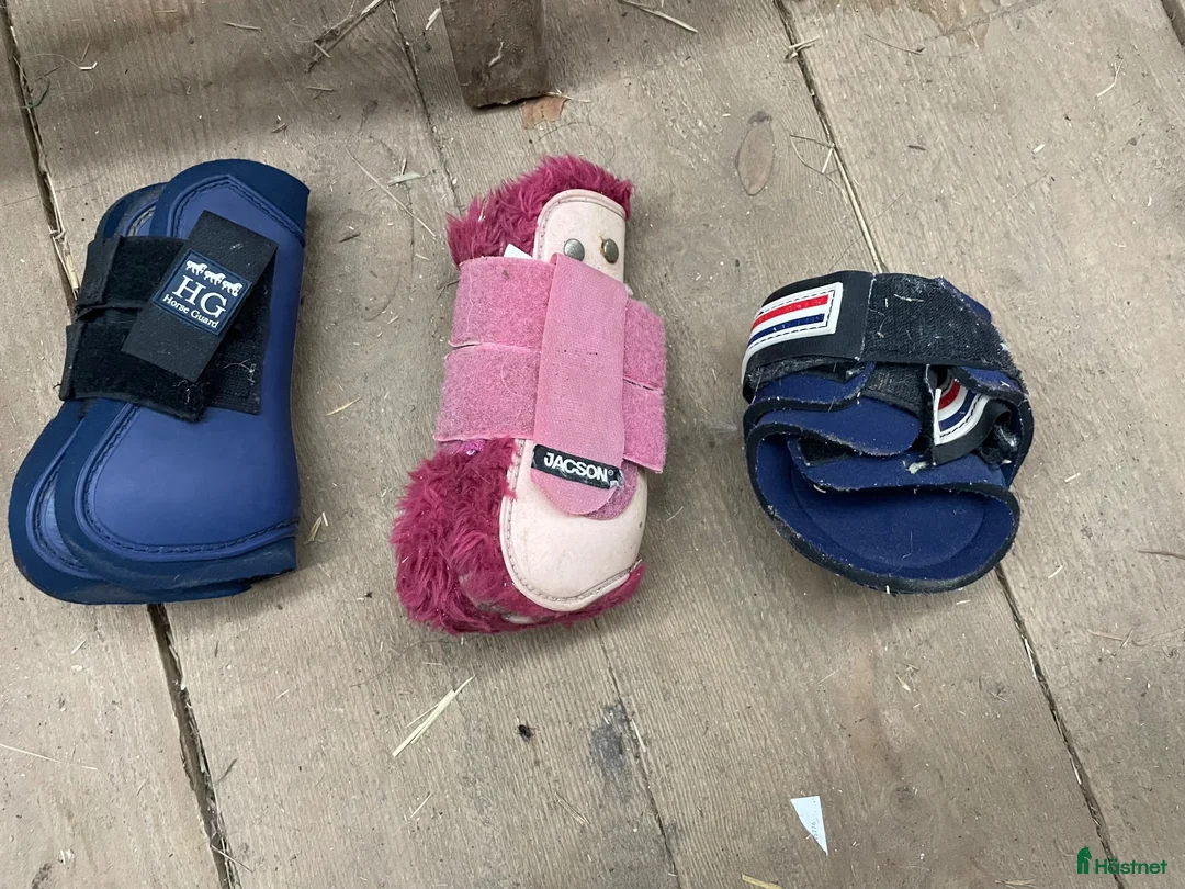 Benskydd hästutrustning till salu: Benskydd, strykkappor, boots och transportskydd i Alunda - Annons 1