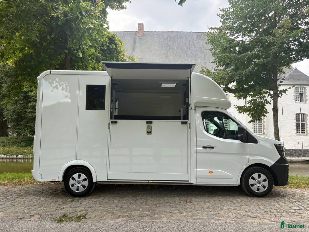 Hästlastbilar  fordon & transport till salu: Lehel 2 hästars classic  i Teckomatorp - Annons 3