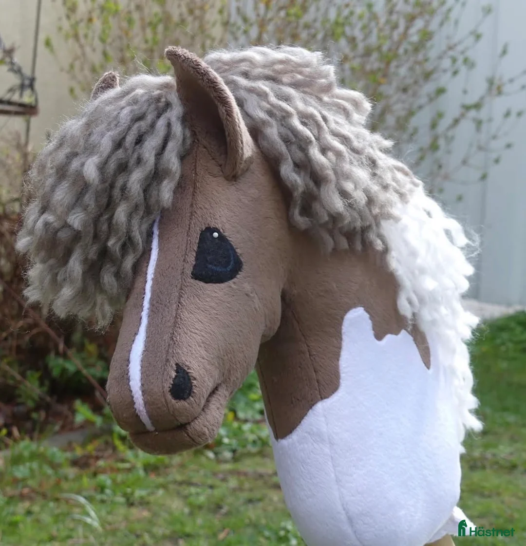 Övrig Ryttarutrustning ryttarutrustning till salu: Shb häst tillsalu - Annons 1