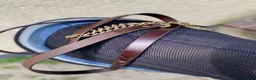 Träns hästutrustning till salu: HORSEWARE® TRÄNS MICKLEM COMPETITION Bl.a - Annons 5