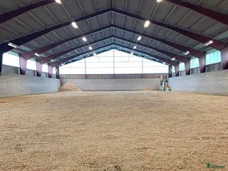 hästservice finnes: Fullservice för kortare och längre tid finnes - Annons 2