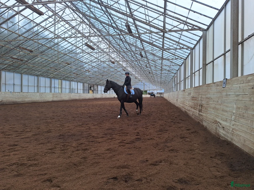  stallplats finnes: Stallplats Tungelsta, Haninge  i Tungelsta - Annons 3