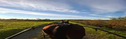  stallplats finnes: Lösdriftsplatser finns i Skellefteå  - Annons 2