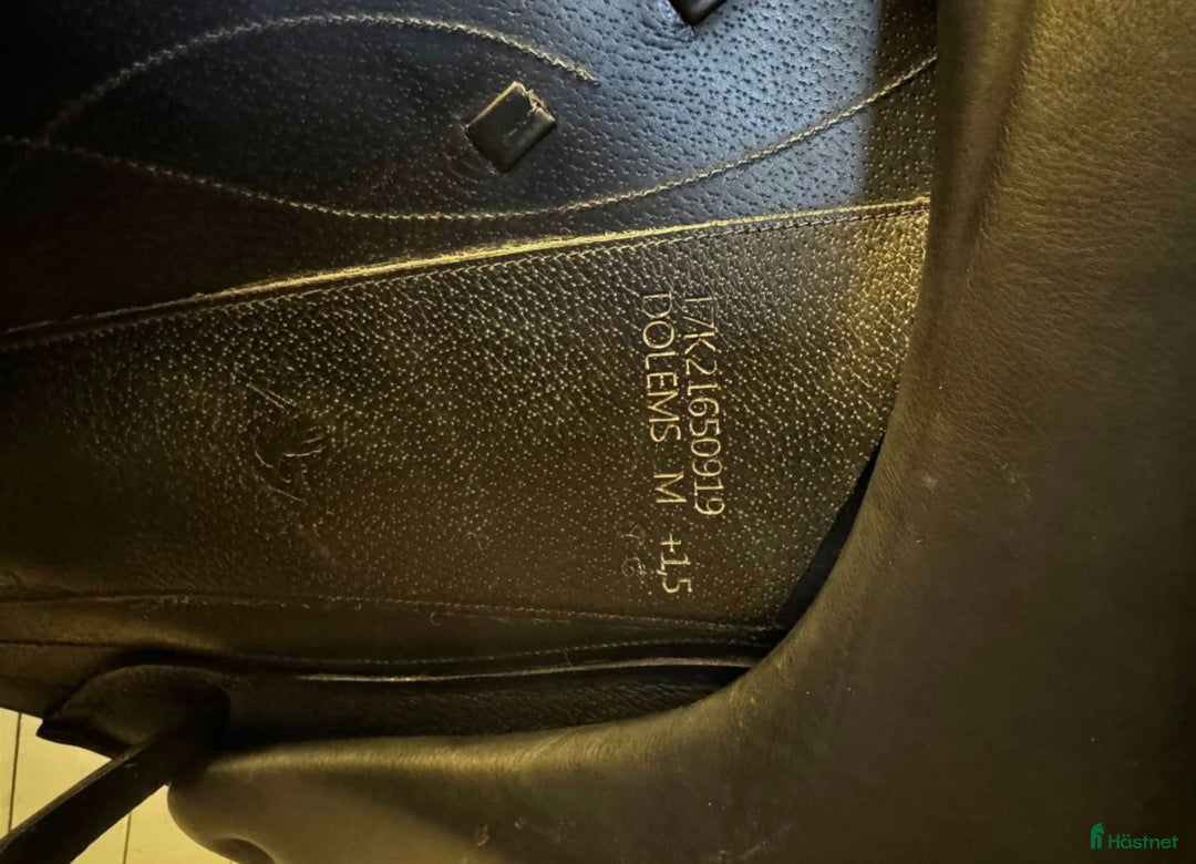 Sadlar hästutrustning till salu: Equipe Olympia  i Brålanda - Annons 3