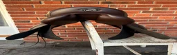 Sadeltillbehör hästutrustning till salu: Tekna dressyrsadel 18”, fint skick - Annons 3