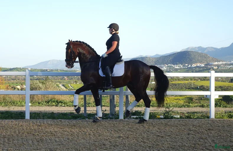 Galleribild {{count}}