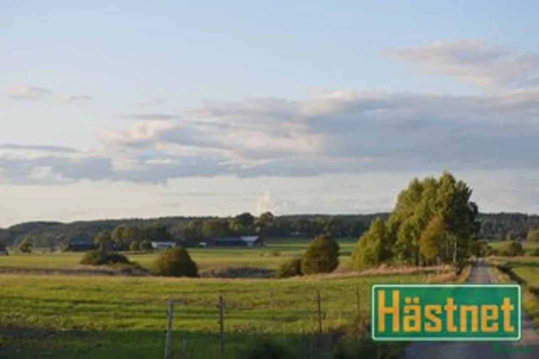  stallplats finnes: Lösdriftsplats i Sjuntorp - Annons 5