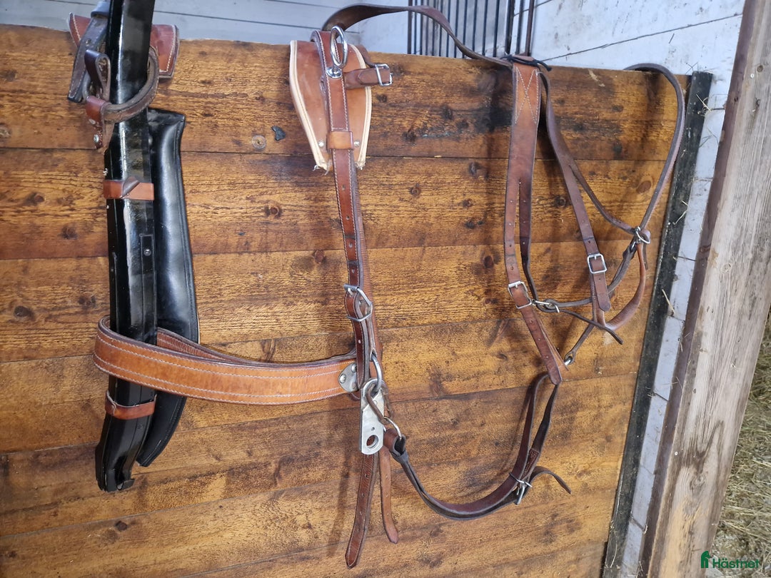 Körselar körning till salu: Loksele i Rättvik - Annons 4