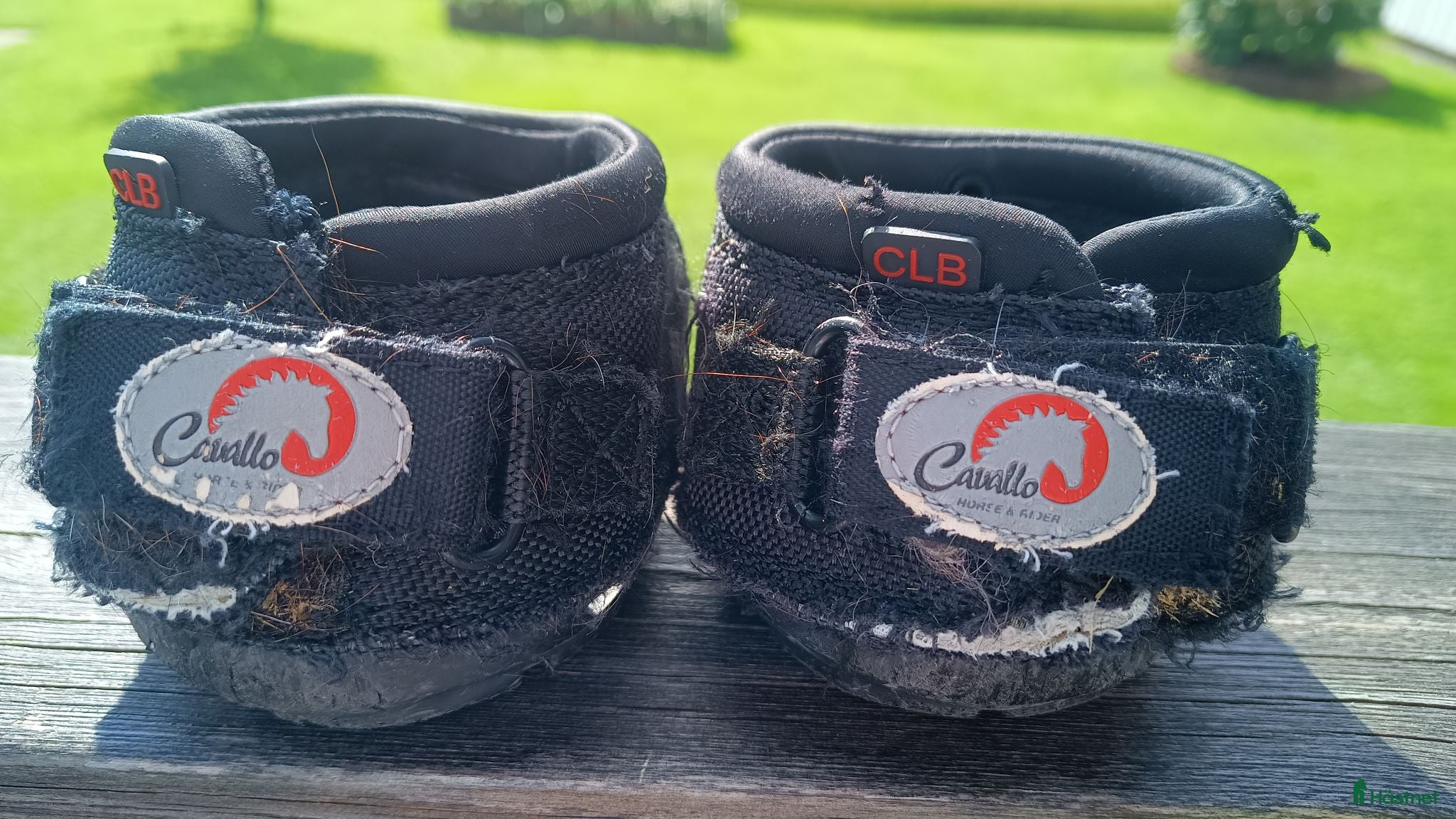 Övrig Hästutrustning hästutrustning till salu: Cavallo Cute Little Boot storlek M2  - Annons 1
